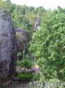 DSC00867.jpg